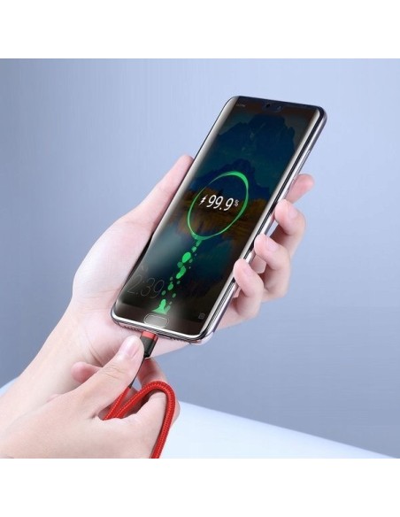 Baseus Cafule Kabel USB-C Do USB-C 60W 2m Czerwono-Czarny